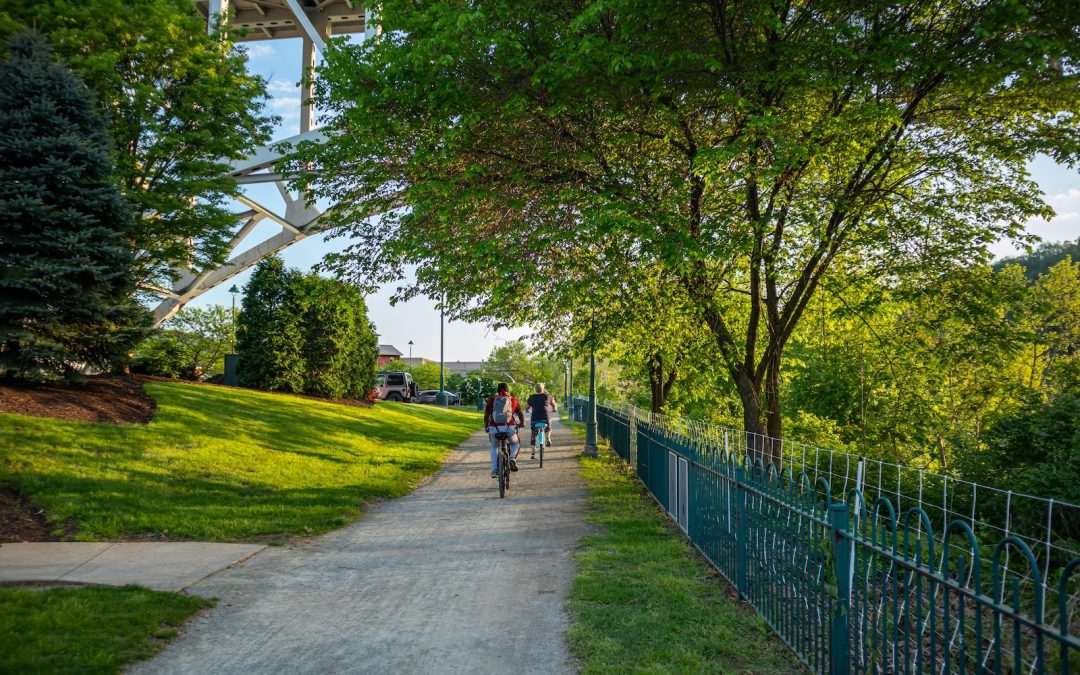 People riding bikes on a path, under green trees in spring.